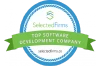 software-developer