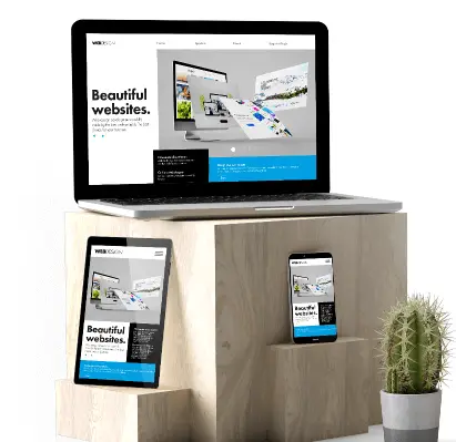 Web Development
